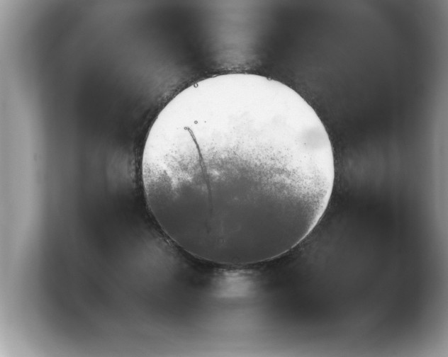 X0000103900268200809261555