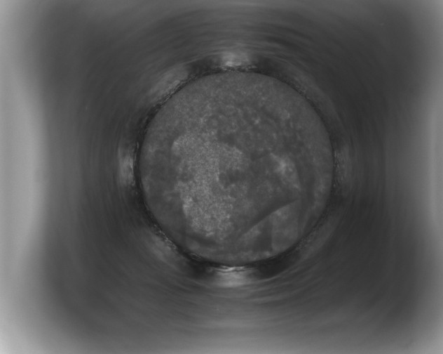 X0000103900269200809261555