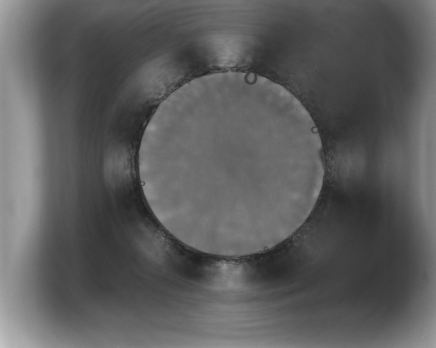 X0000103900272200809261555