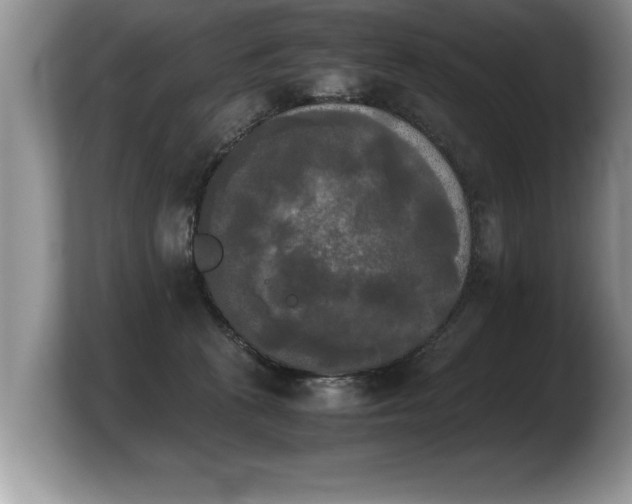 X0000103900273200809261555