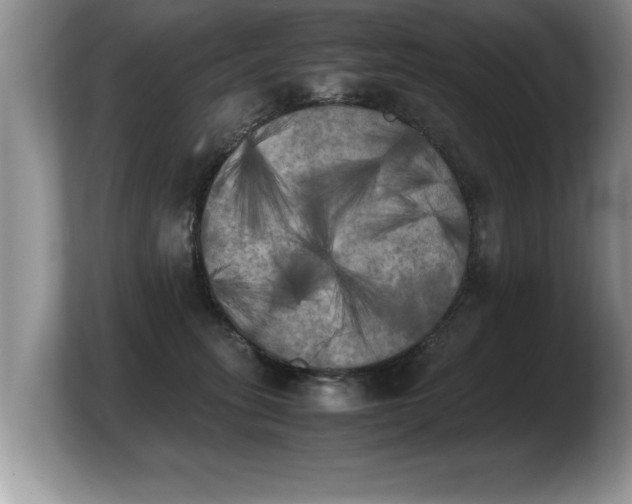 X0000103900275200809261555