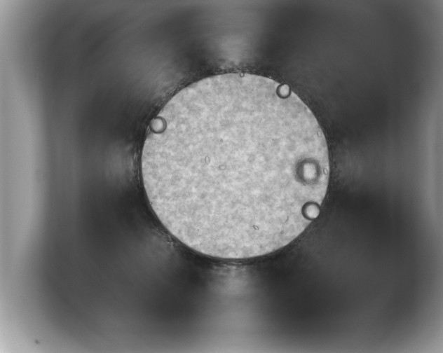 X0000103900276200809261555