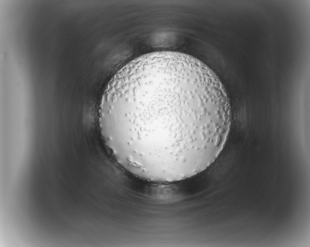 X0000103900277200809261555