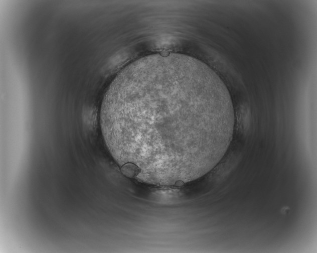 X0000103900278200809261555