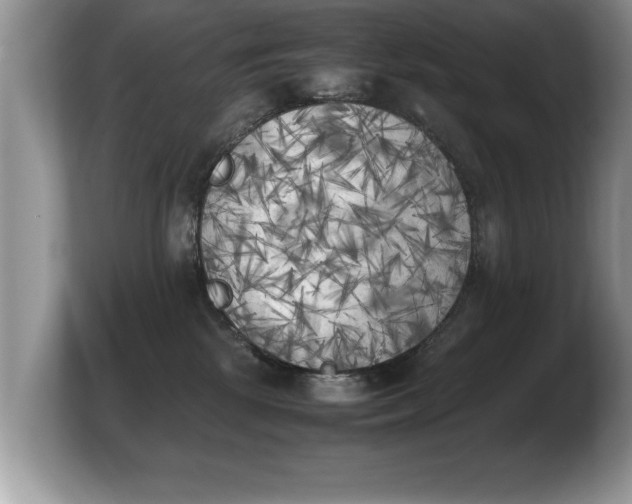X0000103900281200809261555