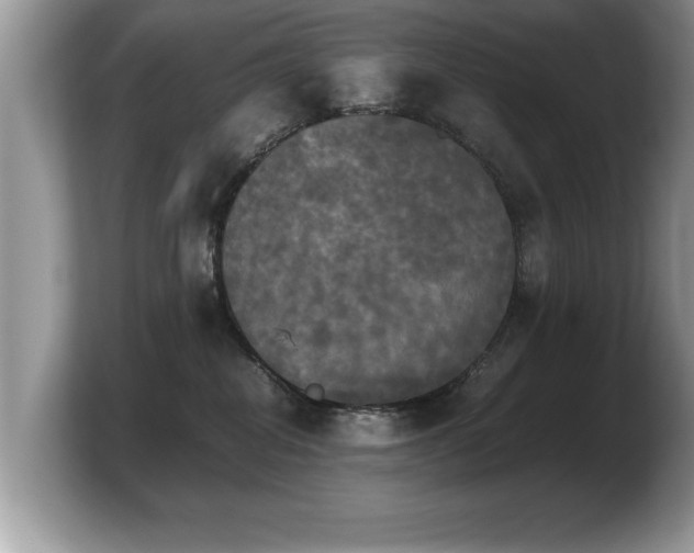 X0000103900282200809261555