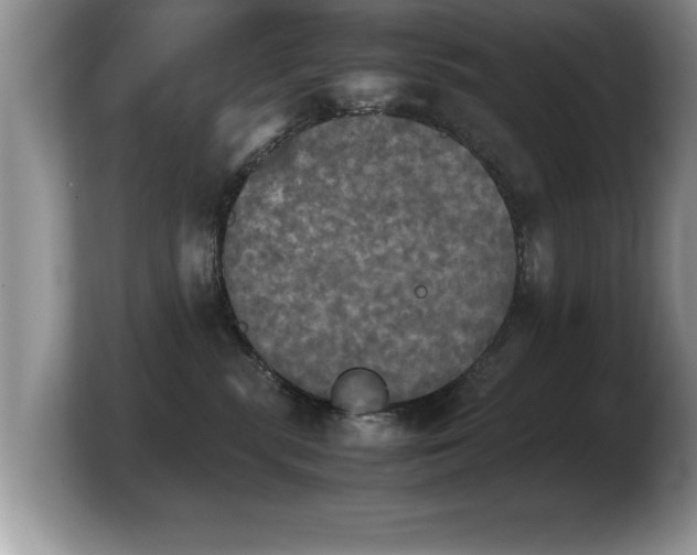 X0000103900283200809261555