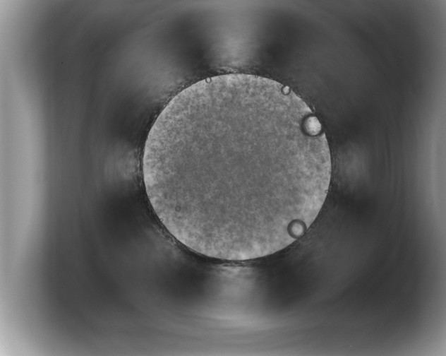 X0000103900284200809261555