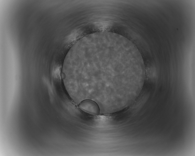 X0000103900286200809261555