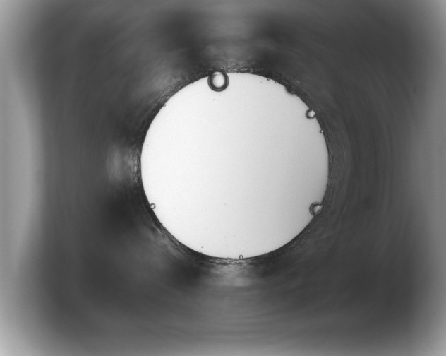 X0000103900288200809261555