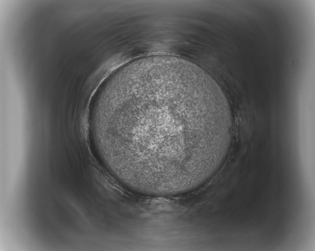 X0000103900290200809261555