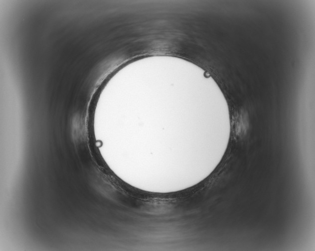 X0000103900292200809261555