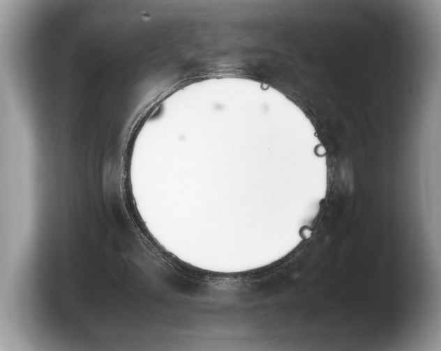 X0000103900293200809261555