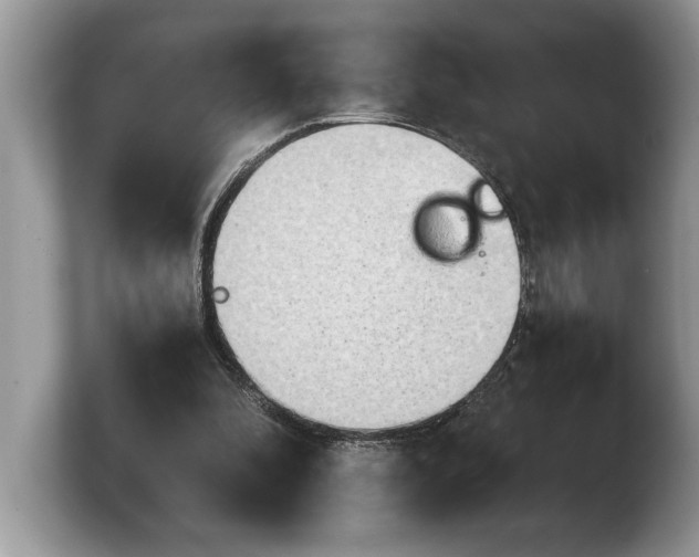 X0000103900296200809261555