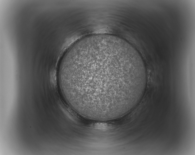 X0000103900298200809261555