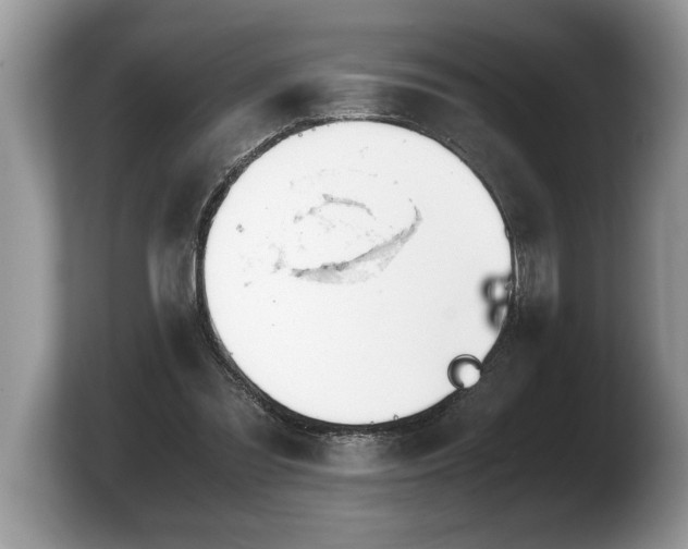 X0000103900301200809261555