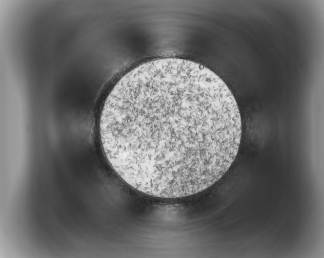 X0000103900304200809261555