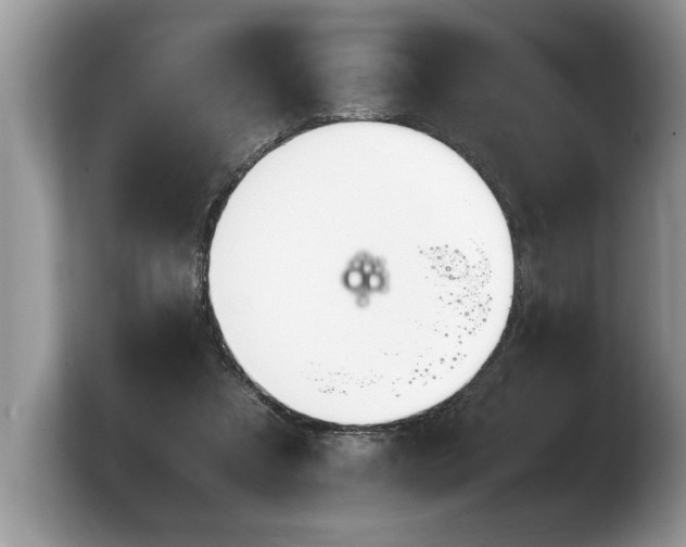 X0000103900305200809261555