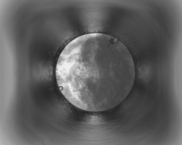 X0000103900308200809261555