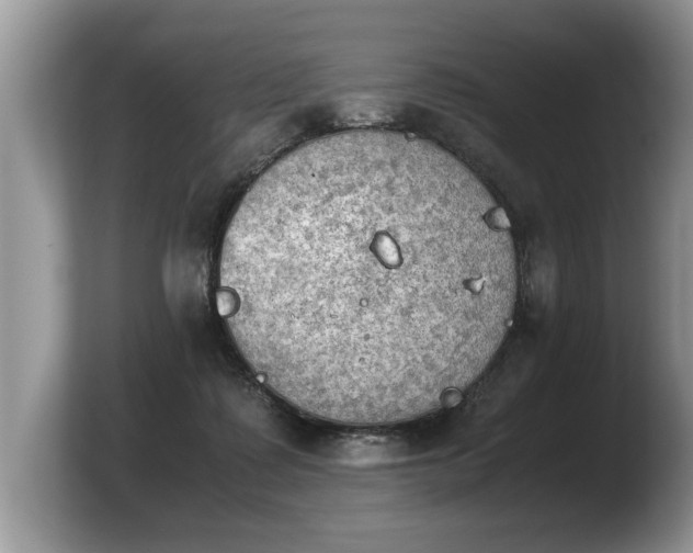 X0000103900315200809261555