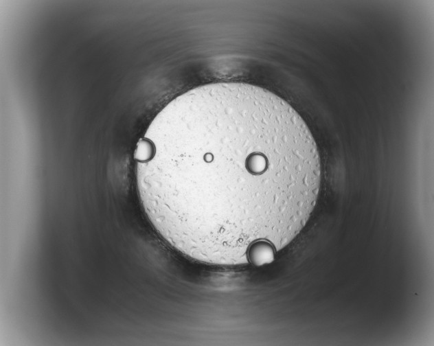 X0000103900319200809261554