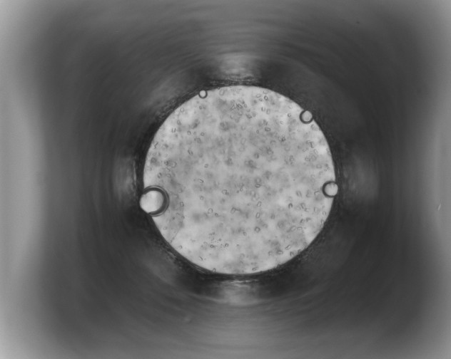 X0000103900320200809261554