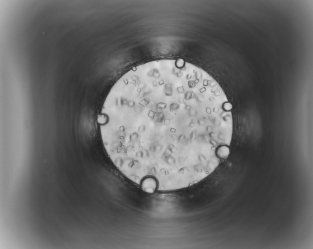X0000103900324200809261554