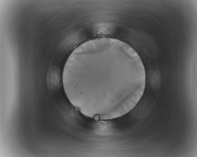 X0000103900328200809261554