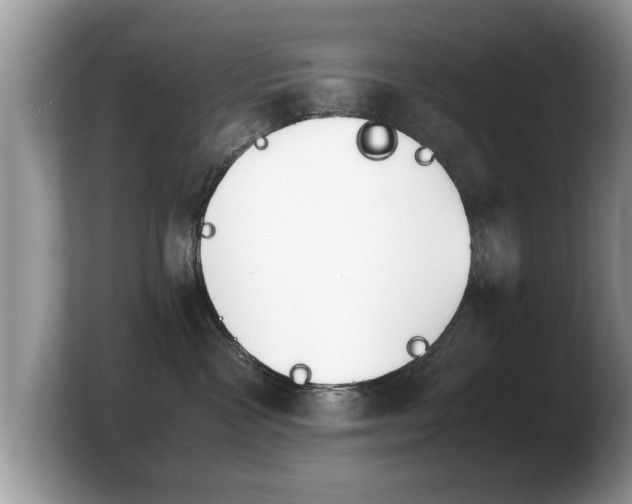 X0000103900333200809261554