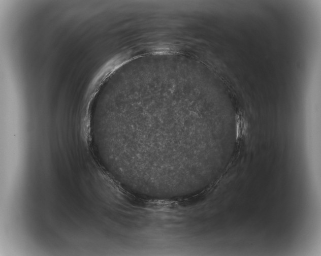 X0000103900339200809261554