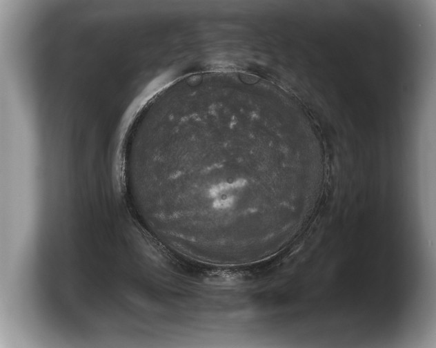 X0000103900343200809261554