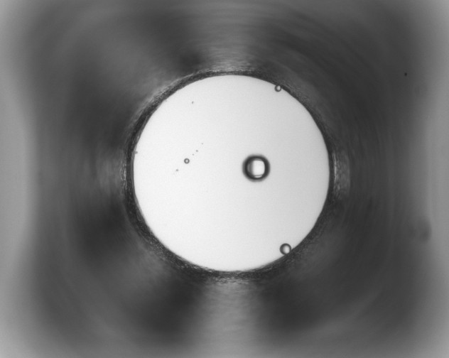 X0000103900348200809261554