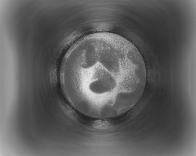 X0000103900354200809261554
