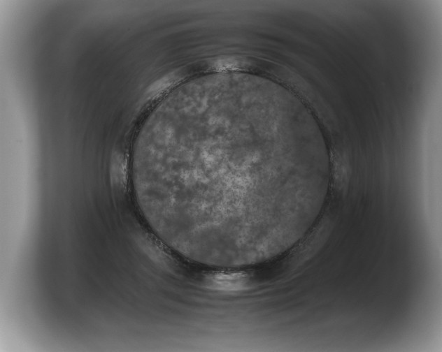 X0000103900357200809261554