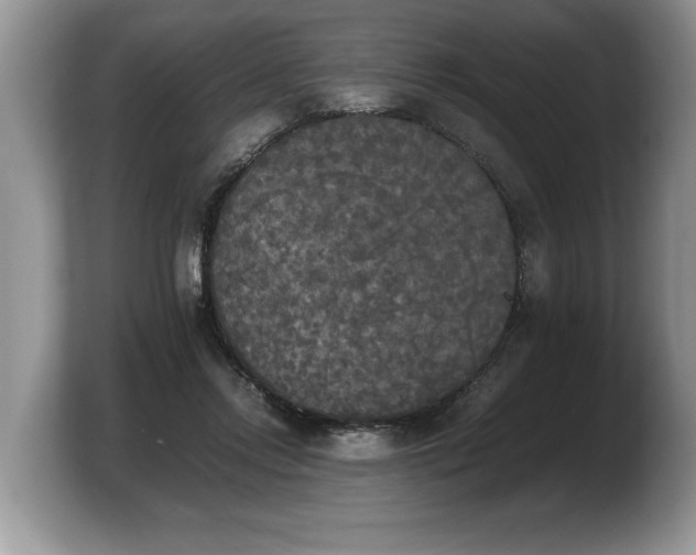 X0000103900358200809261554