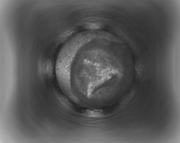 X0000103900359200809261554