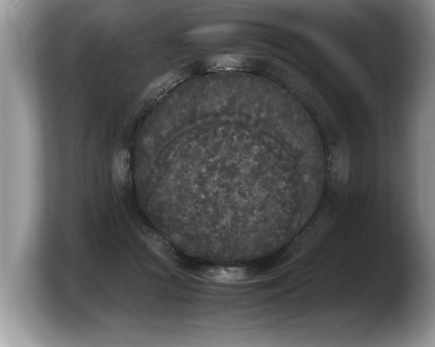 X0000103900361200809261554