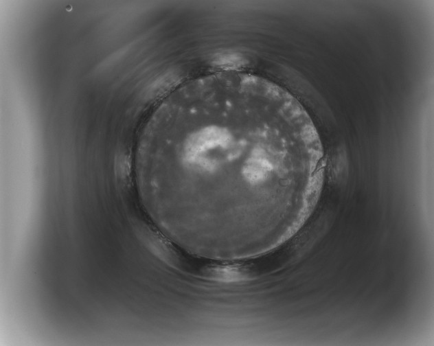 X0000103900365200809261554