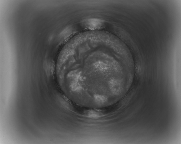 X0000103900367200809261554