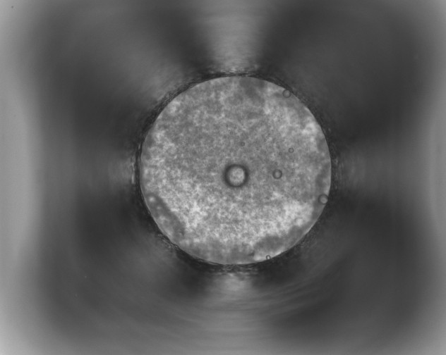 X0000103900368200809261554