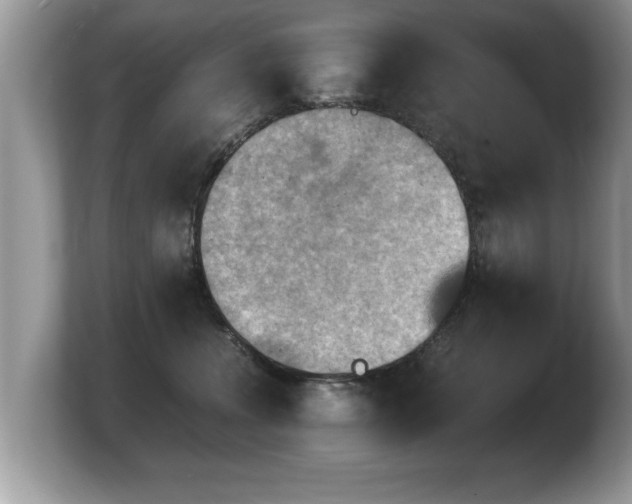 X0000103900372200809261554