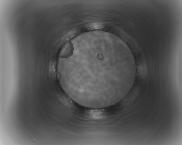 X0000103900373200809261554