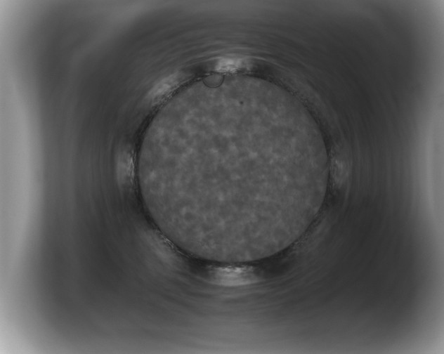 X0000103900375200809261554