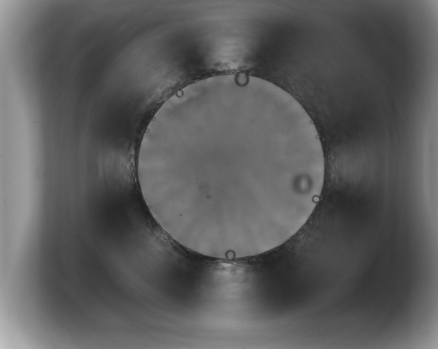 X0000103900376200809261554