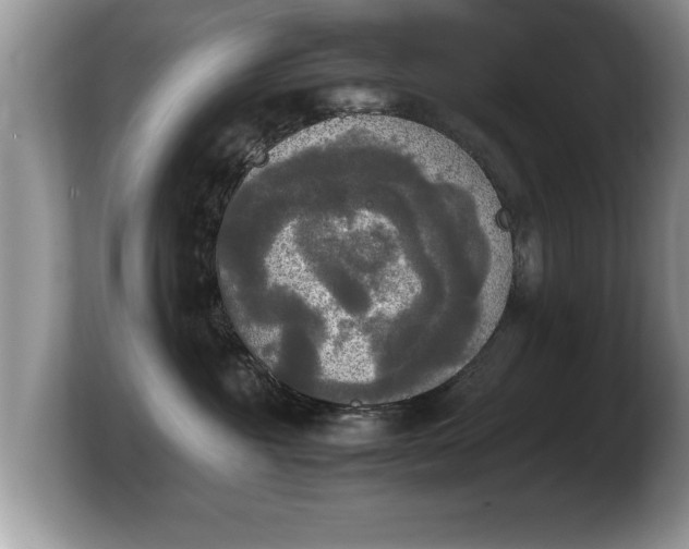 X0000103900381200809261554