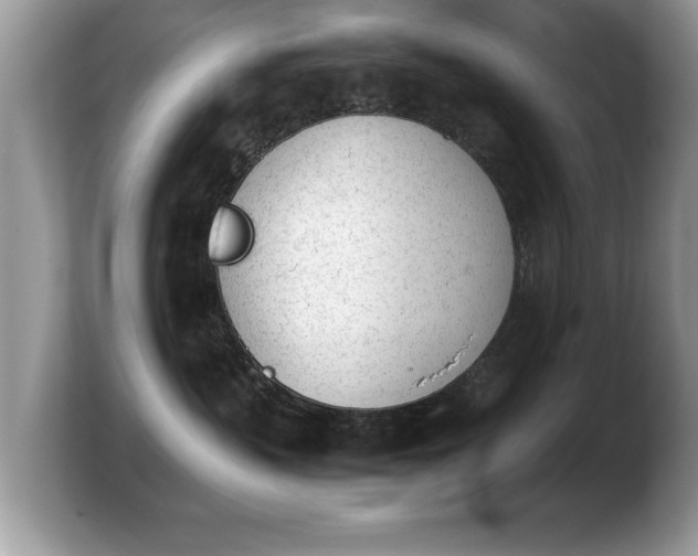 X0000103900383200809261554