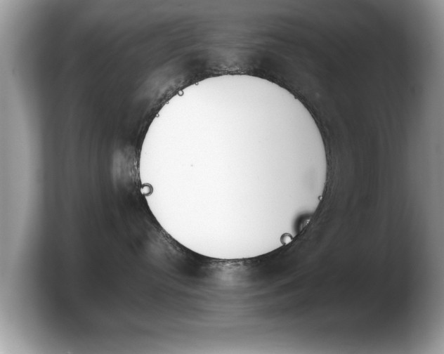 X0000103900384200809261554