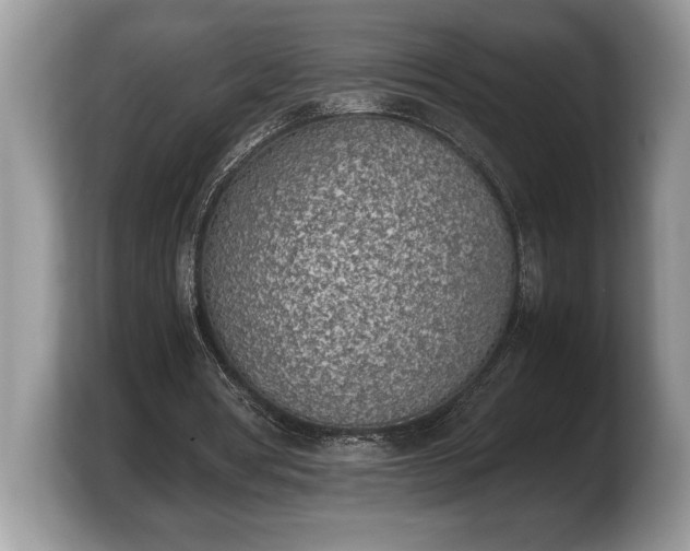 X0000103900386200809261554