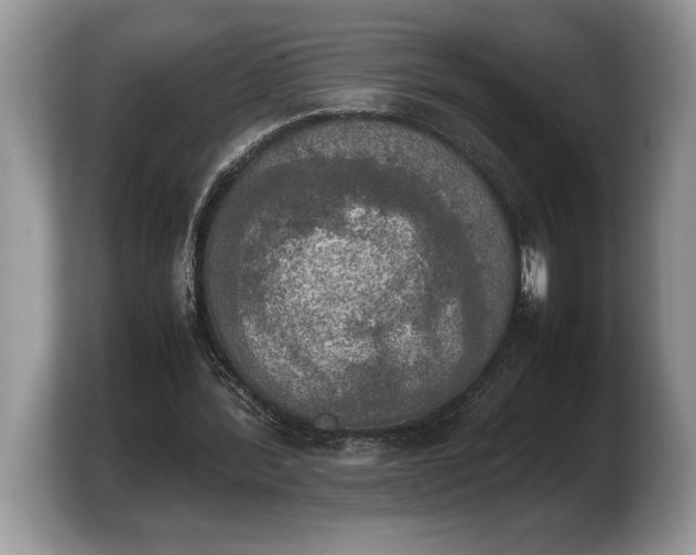 X0000103900388200809261554