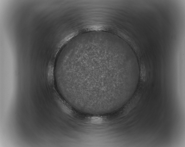 X0000103900394200809261553